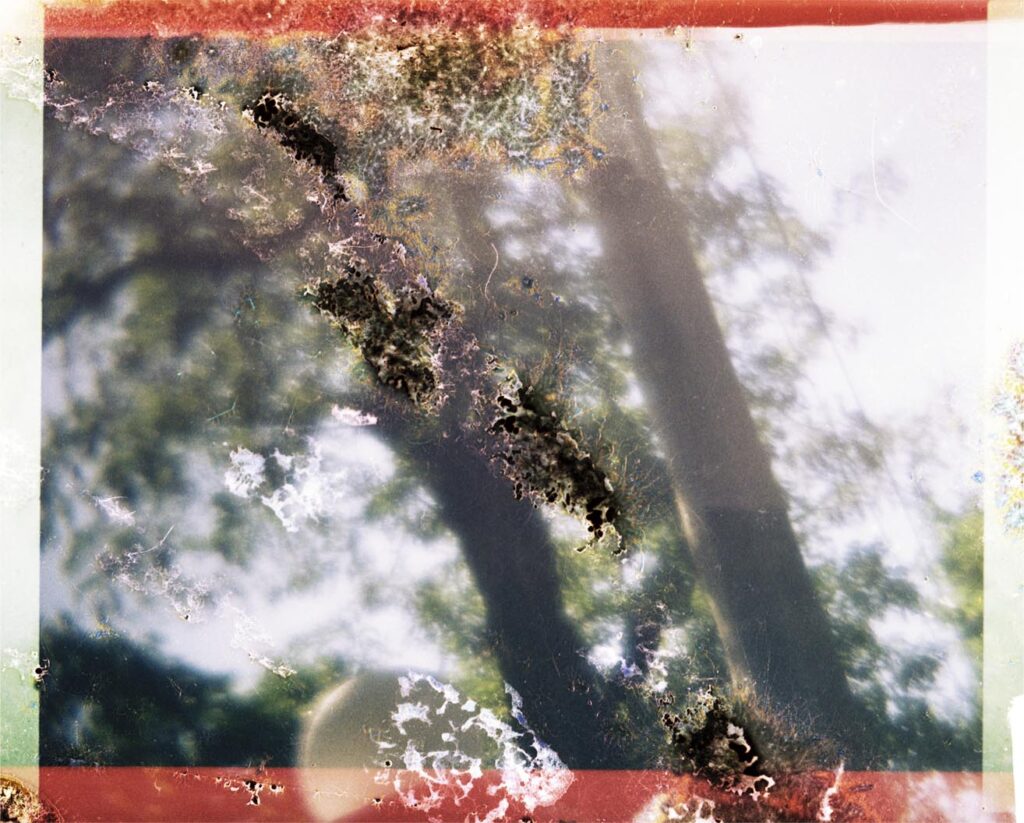 Photograph by William Greenfield from series DAMAGE