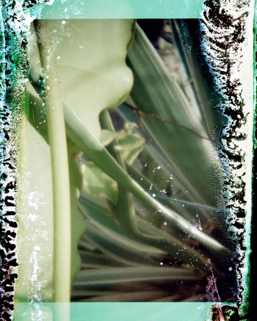 Photograph by William Greenfield from series DAMAGE