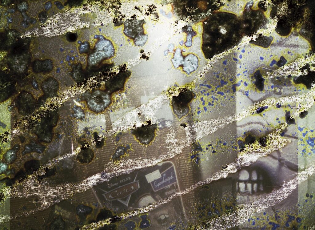 Photograph by William Greenfield from series DAMAGE