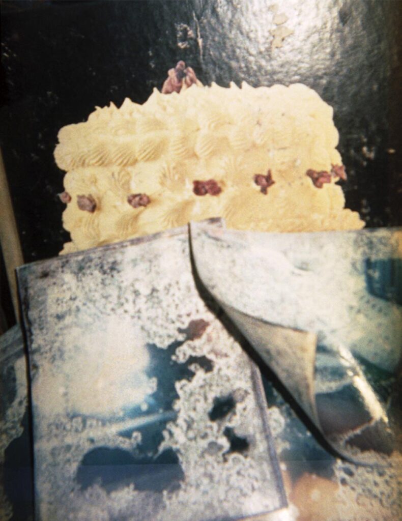 Photograph by William Greenfield from series DAMAGE