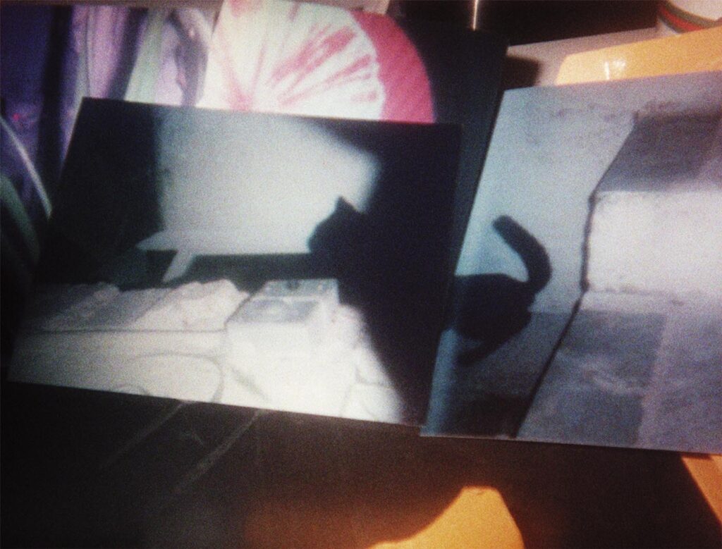 Photograph by William Greenfield from series FOTAGE