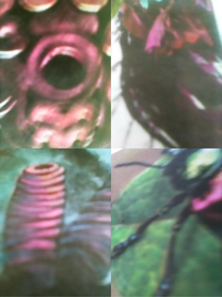 Photograph by William Greenfield from series POLYTYCHS