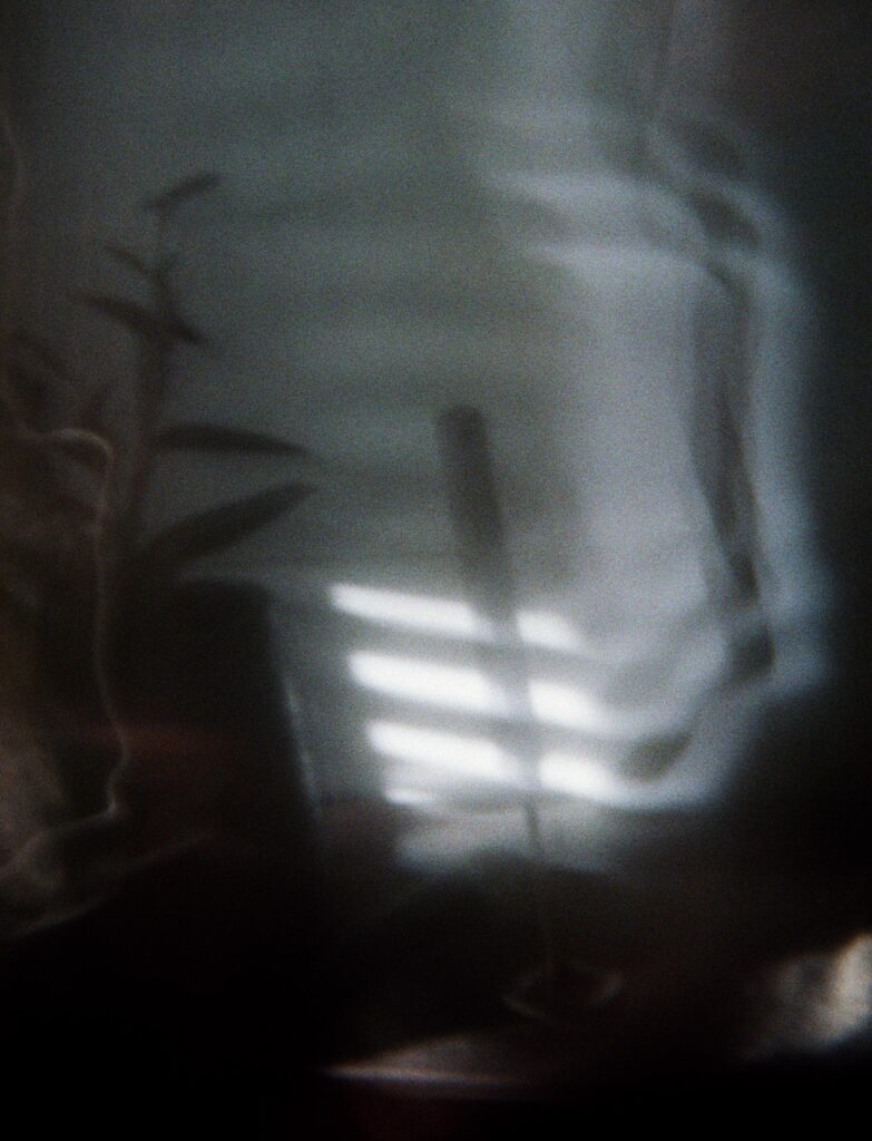 Photograph by William Greenfield from series STILLS