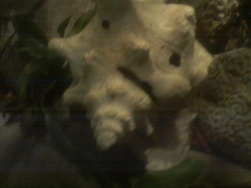 Photograph by William Greenfield from series STILLS