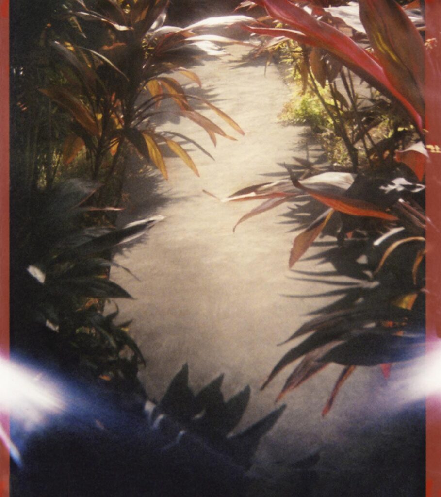 Photograph by William Greenfield from series STILLS