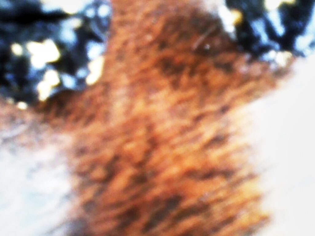 Photograph by William Greenfield from series STILLS