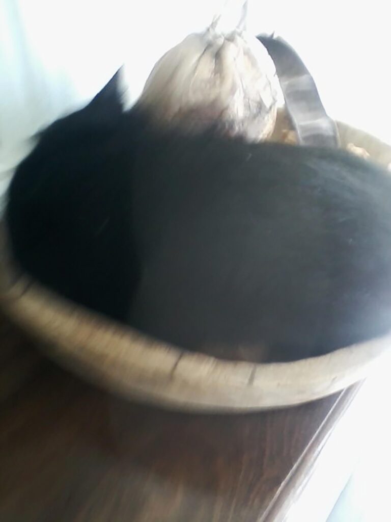 Photograph by William Greenfield from series STILLS