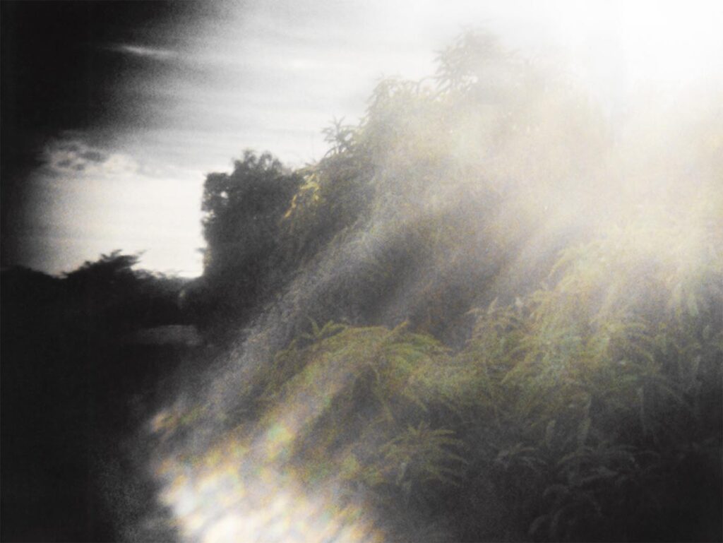 Photograph by William Greenfield from series STILLS