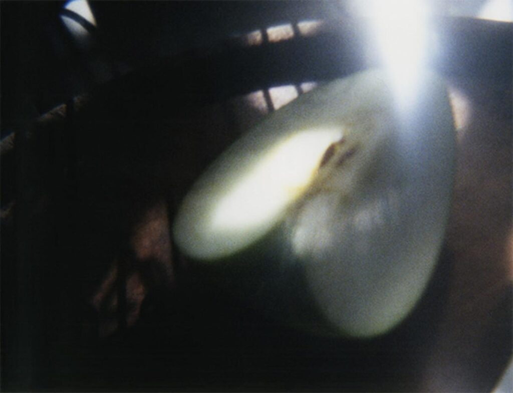 Photograph by William Greenfield from series STILLS