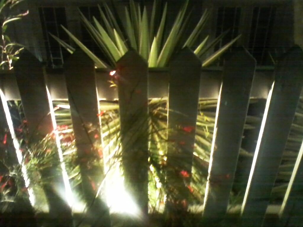 Photograph by William Greenfield from series STILLS