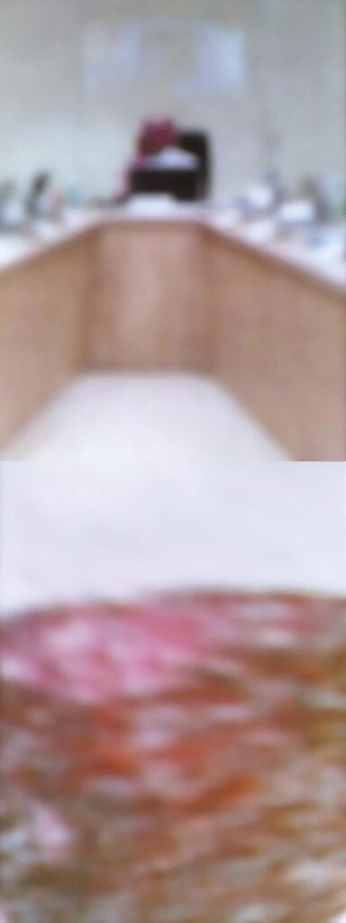 Photograph by William Greenfield from series TYCHS