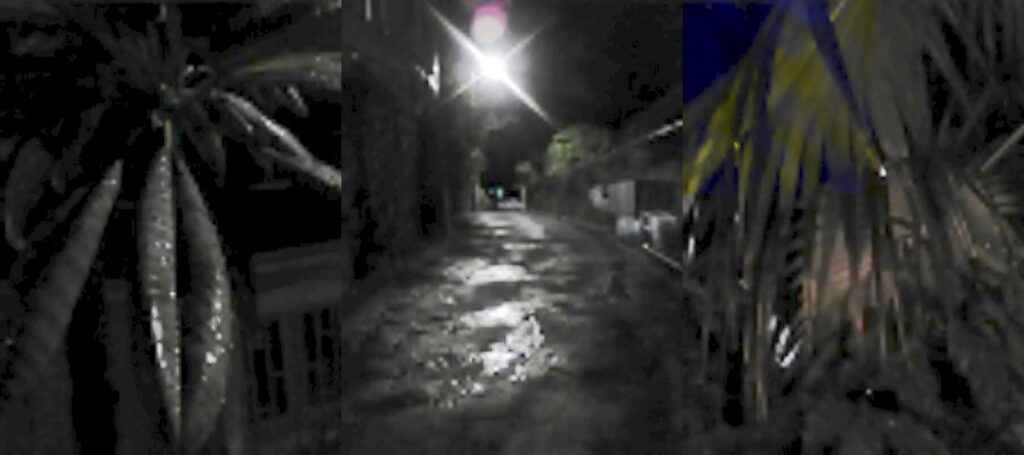 Photograph by William Greenfield from series TYCHS